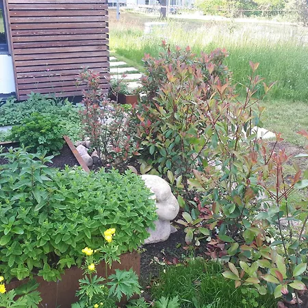 250m Zum Grimnitzsee Apartment