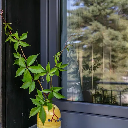 250m Zum Grimnitzsee Joachimsthal