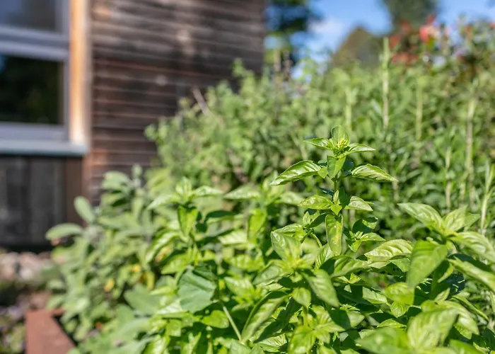 شقة 250m Zum Grimnitzsee يواخيمستال