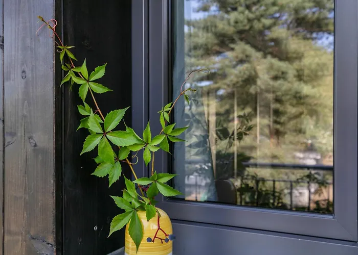 250m Zum Grimnitzsee يواخيمستال