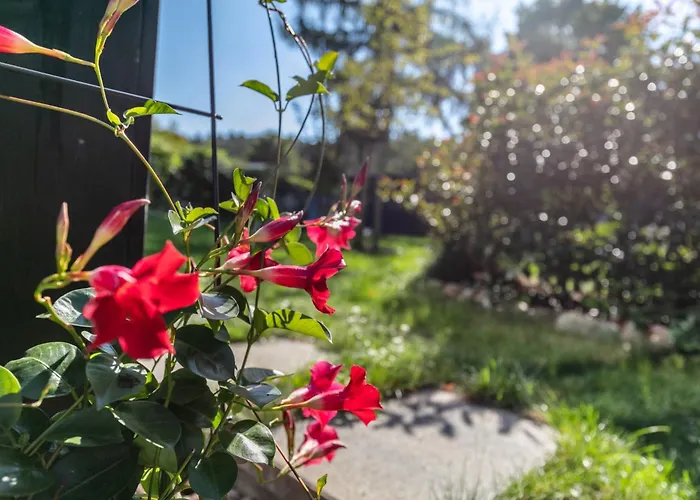 250m Zum Grimnitzsee شقة *